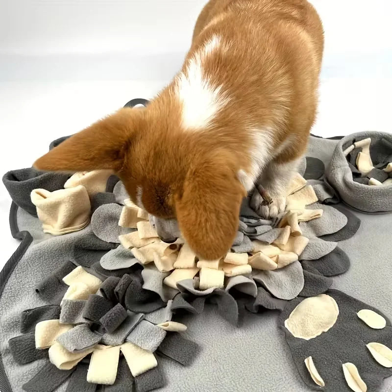 SnufflePaws Interactive Snuffle Mat  Slow Feeder & Foraging Toy for Dogs