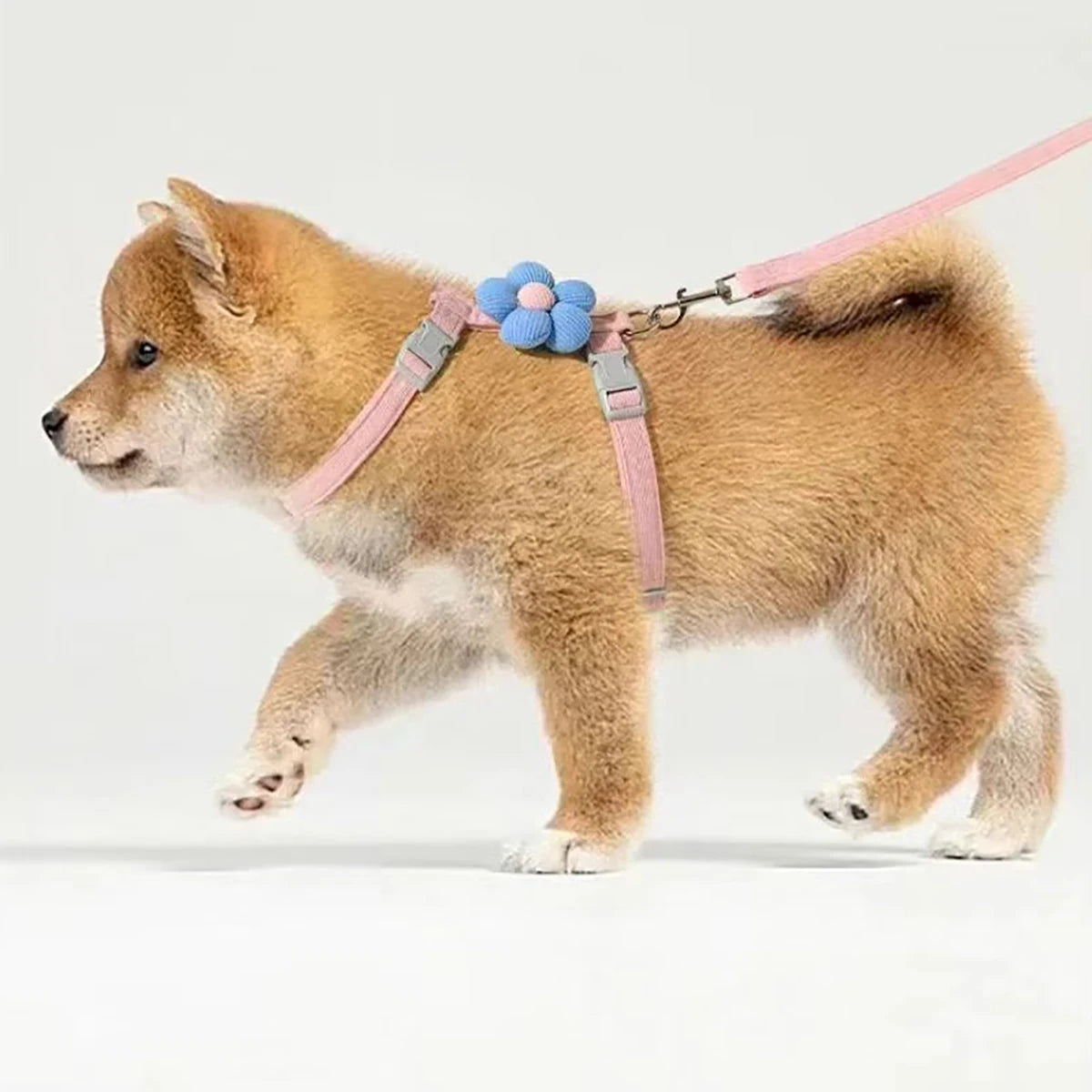 Adjustable Cat & Small Dog Harness with Leash  Breathable No-Pull Pet Walking Set