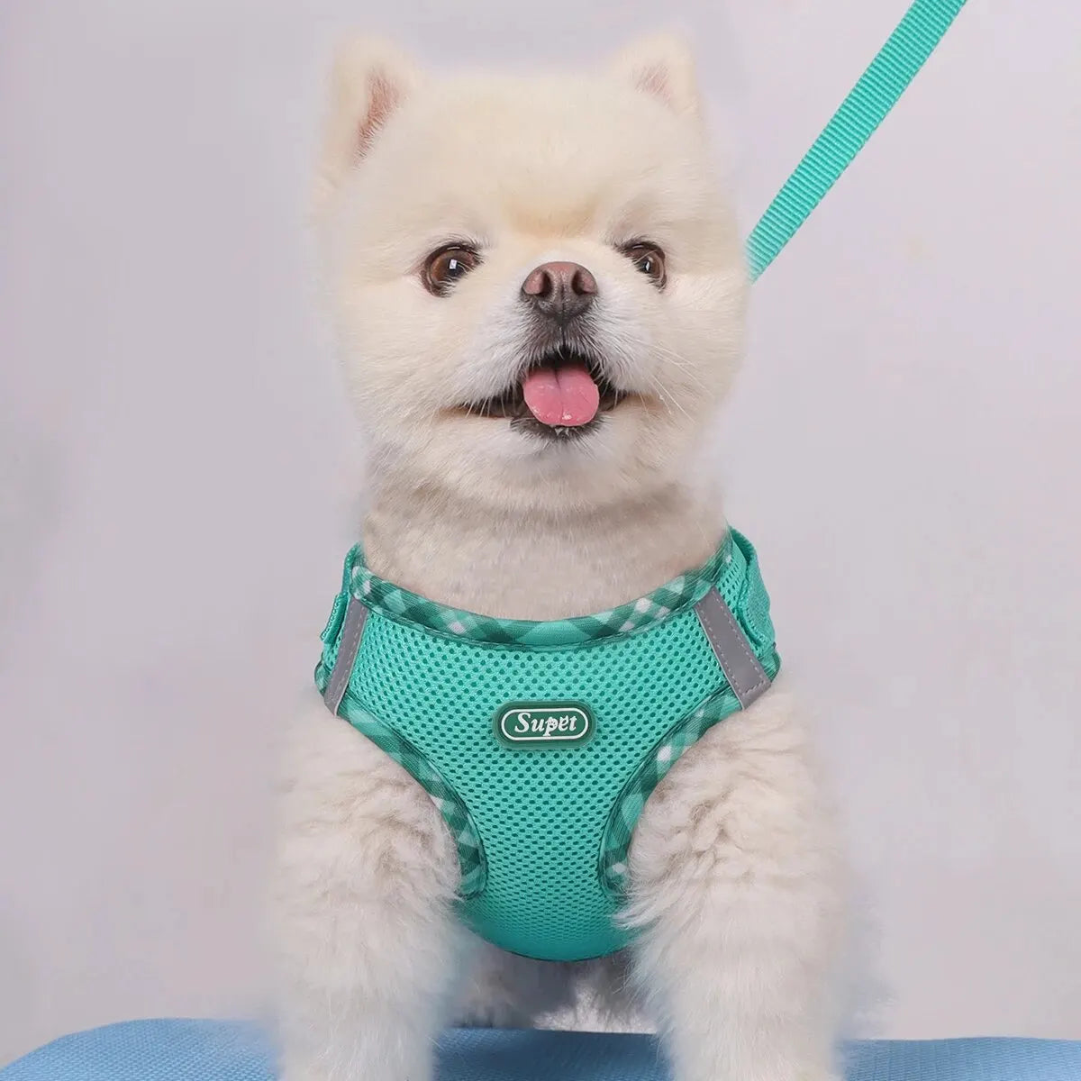 PawControl No-Pull Dog Harness  Adjustable & Comfortable Pet Walking Harness