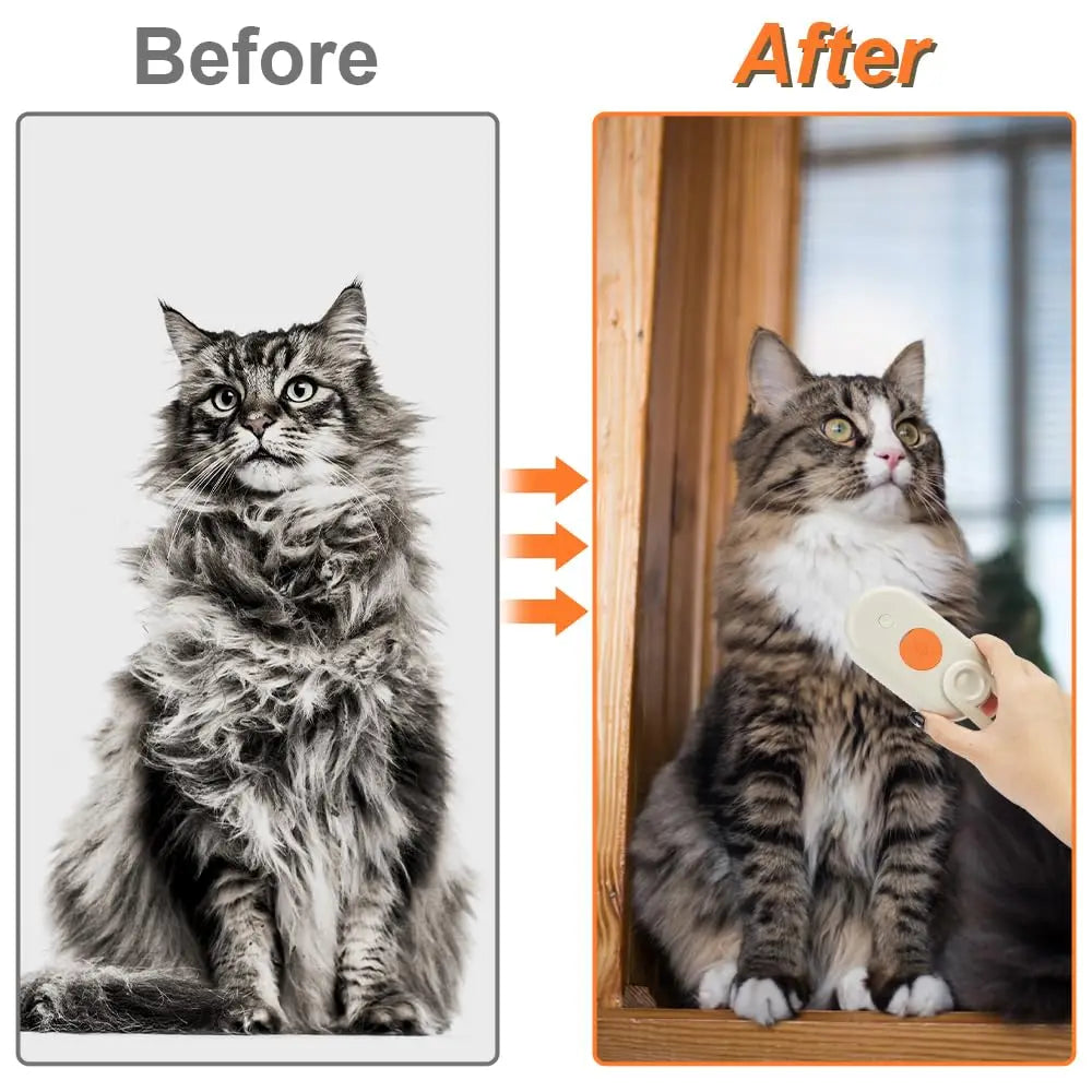 3-in-1 Steam Spray Pet Grooming Brush | Self-Cleaning Massage & Hair Remover for Cats & Dogs