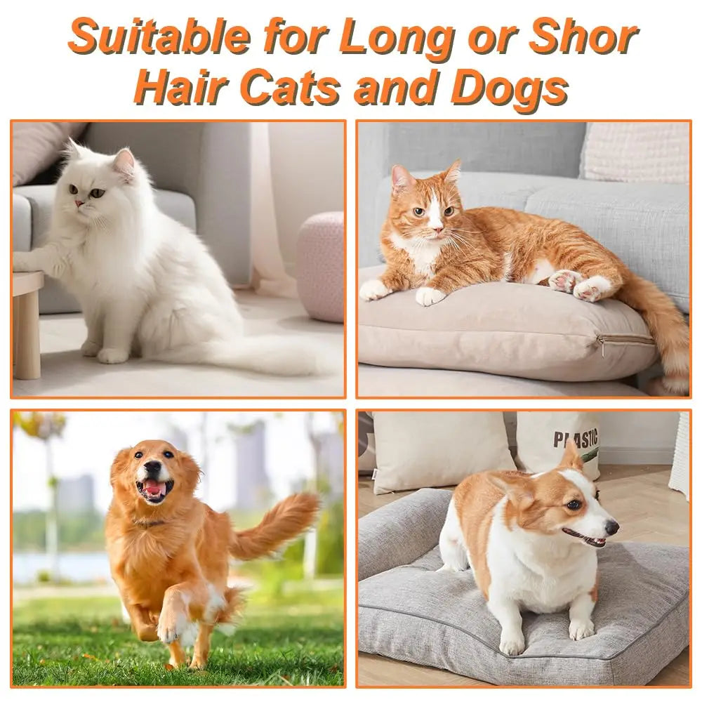 3-in-1 Steam Spray Pet Grooming Brush | Self-Cleaning Massage & Hair Remover for Cats & Dogs