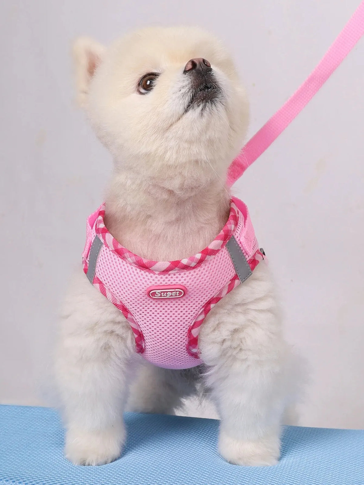 PawControl No-Pull Dog Harness  Adjustable & Comfortable Pet Walking Harness