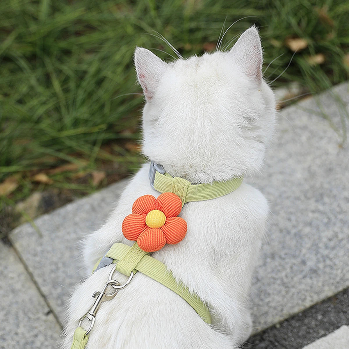 Adjustable Cat & Small Dog Harness with Leash  Breathable No-Pull Pet Walking Set