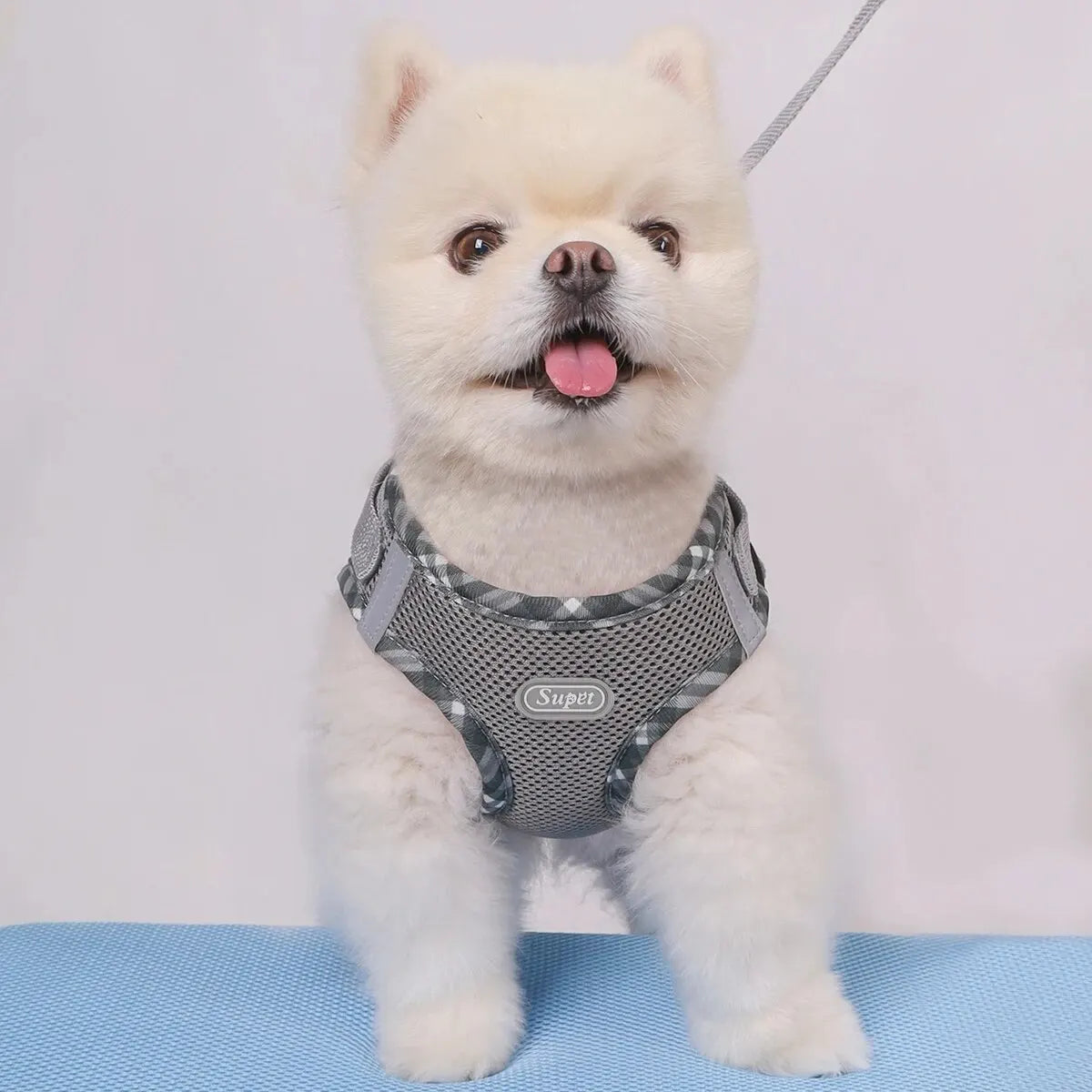 PawControl No-Pull Dog Harness  Adjustable & Comfortable Pet Walking Harness