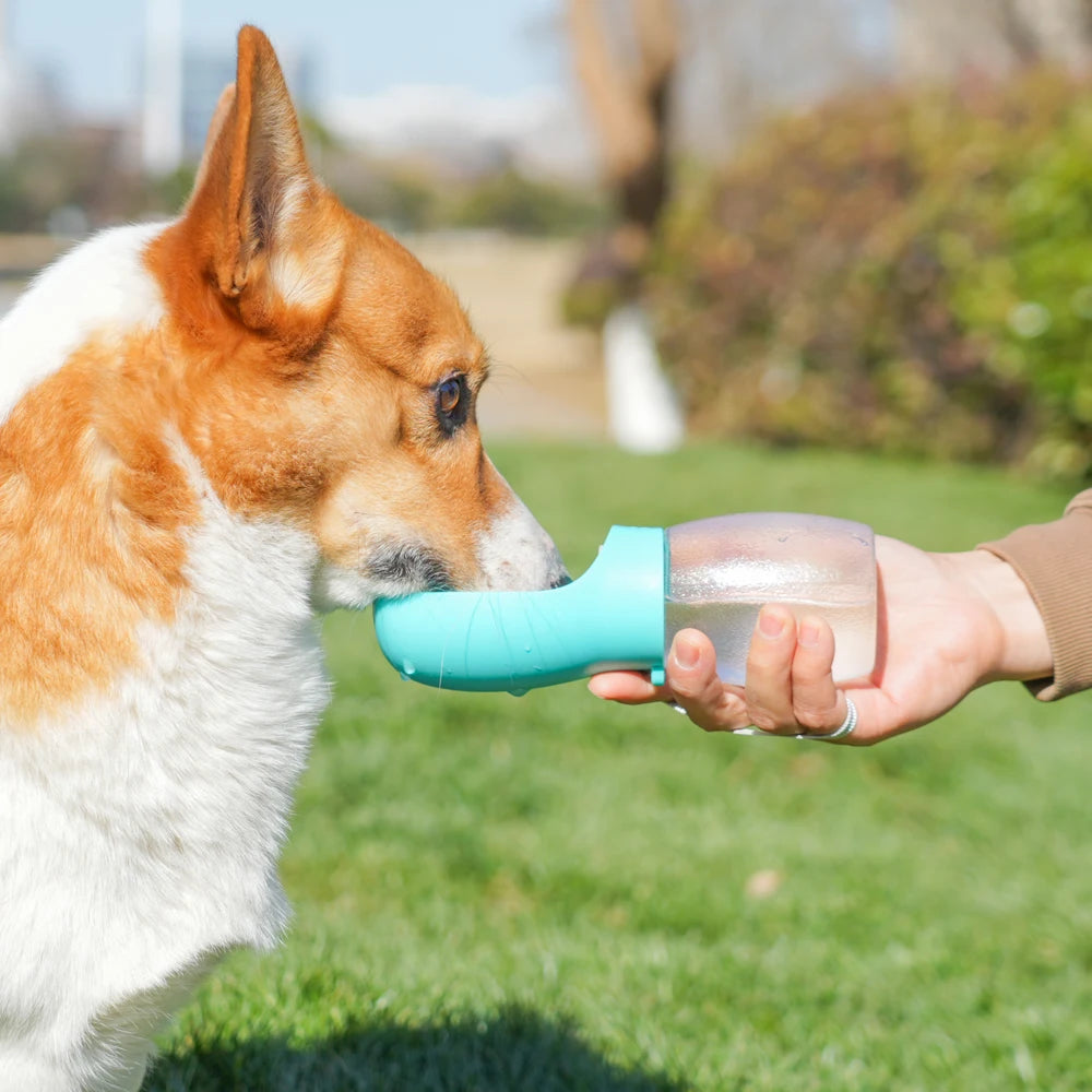 300ml Portable Pet Water Bottle | Leakproof Travel Water Dispenser for Dogs & Cats