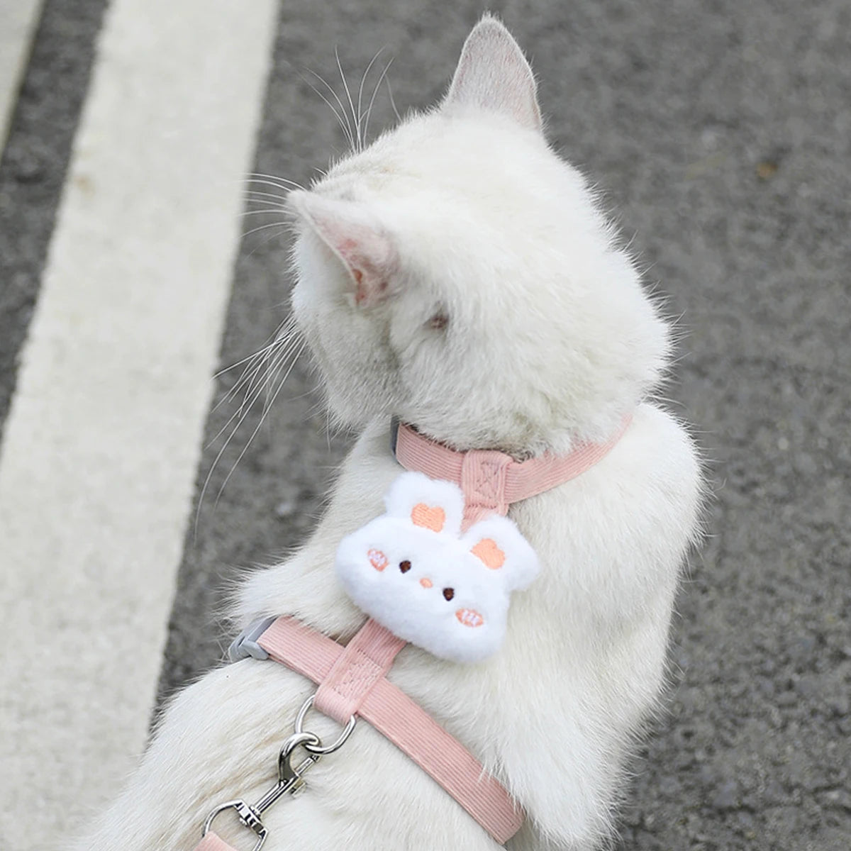 Adjustable Cat & Small Dog Harness with Leash  Breathable No-Pull Pet Walking Set