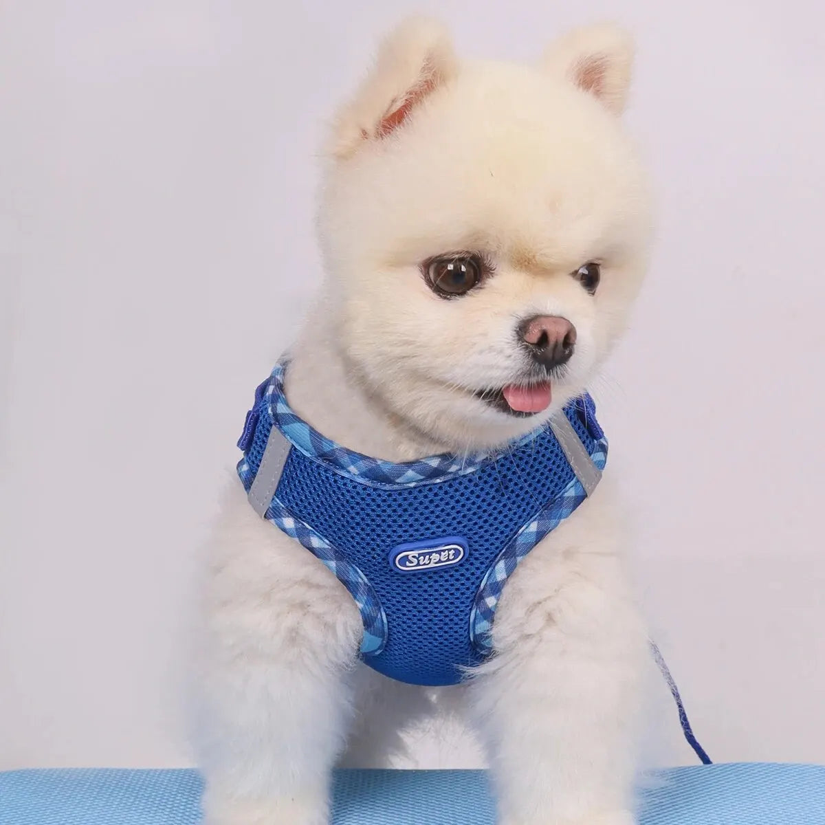 PawControl No-Pull Dog Harness  Adjustable & Comfortable Pet Walking Harness