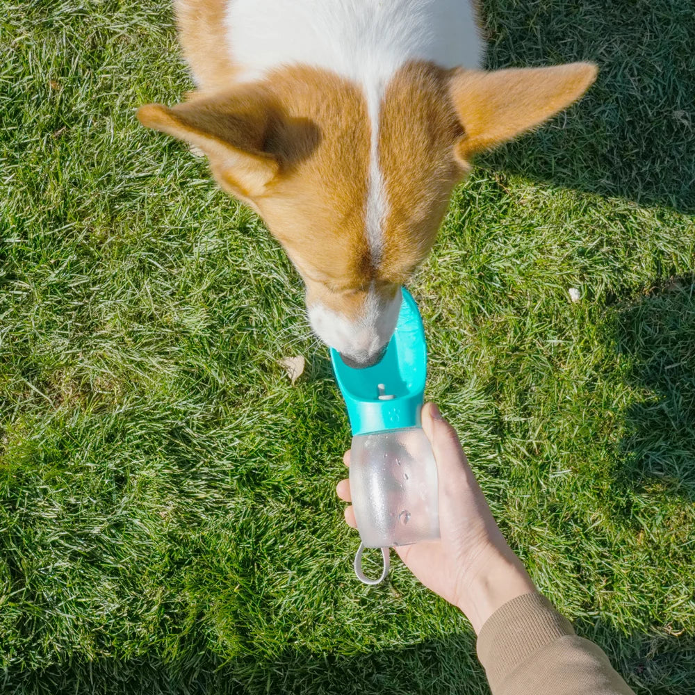 300ml Portable Pet Water Bottle | Leakproof Travel Water Dispenser for Dogs & Cats